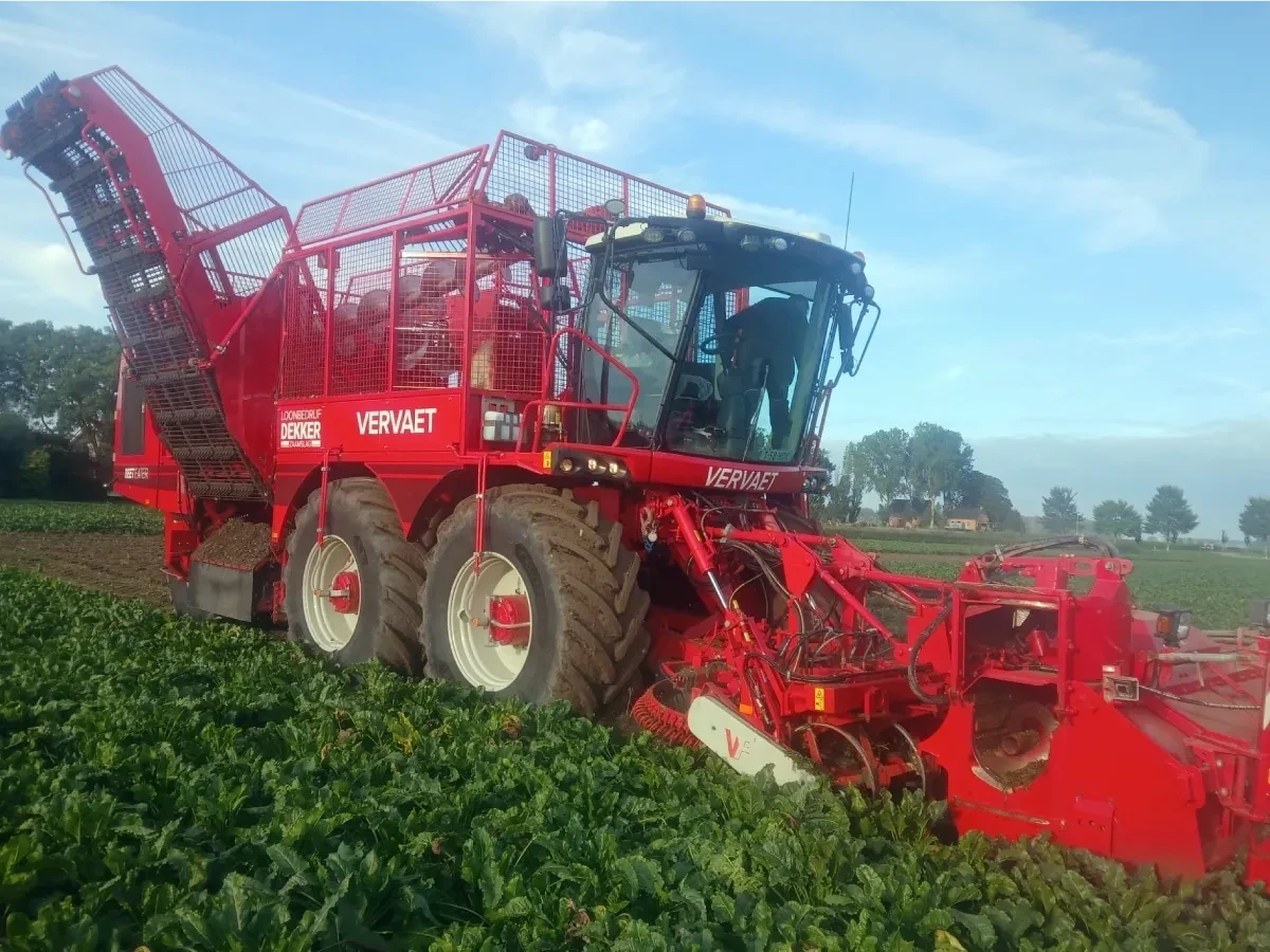 Project Loonbedrijf Dekker van Zeeuwsweb: rode bietenrooier bij het rooien van suikerbieten op een akker in Zeeuws-Vlaanderen
