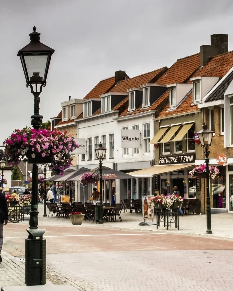 Webdesign in Sluis: een website op maat laten maken bij Zeeuwsweb, voor Sluis, Oostburg en Aardenburg