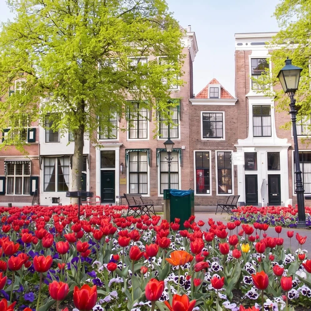 Website laten maken in Zierikzee bij Zeeuwsweb, voor ondernemers in Zierikzee en op Schouwen-Duiveland