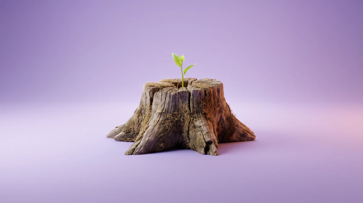 Een verweerde boomstronk met één jonge groene scheut, als beeld bij een website vernieuwen